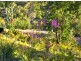 Lot 70 Putty Road, Putty NSW 2330