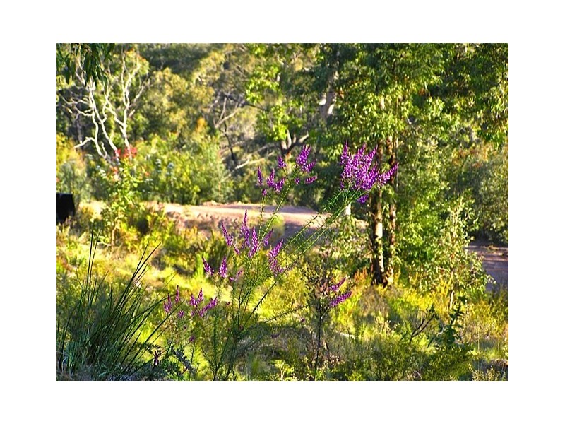 Lot 70 Putty Road, Putty NSW 2330