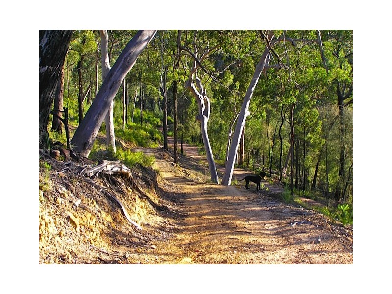 Lot 70 Putty Road, Putty NSW 2330