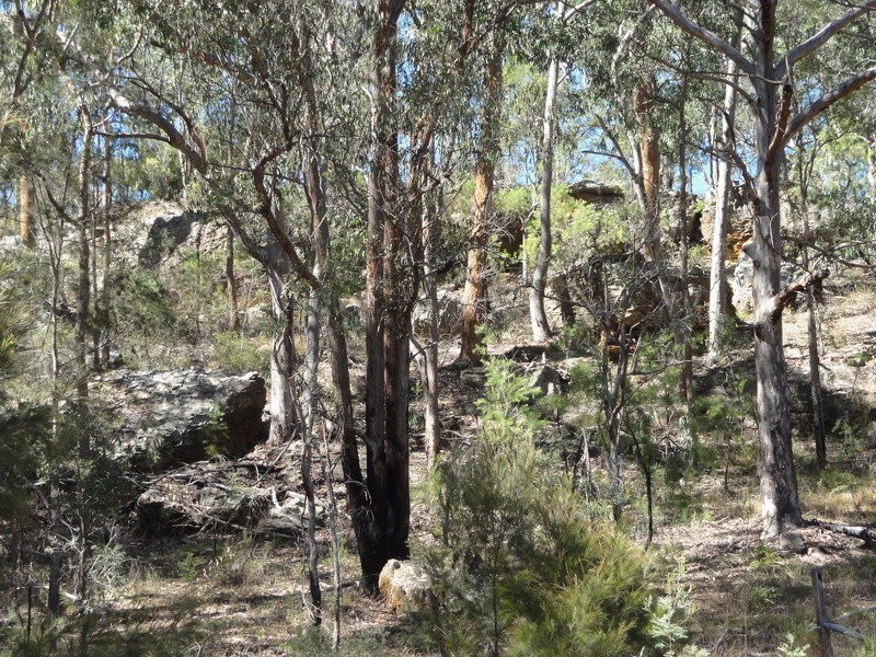 LOT 3 Putty Valley Road, Putty NSW 2330