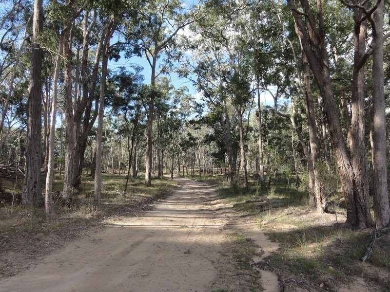 LOT 5 Putty Valley Road, Putty NSW 2330