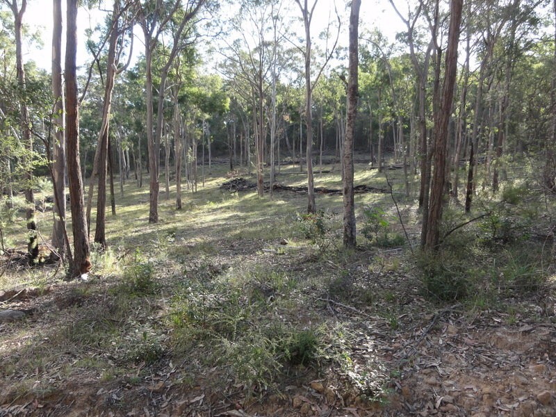 LOT 5 Putty Valley Road, Putty NSW 2330