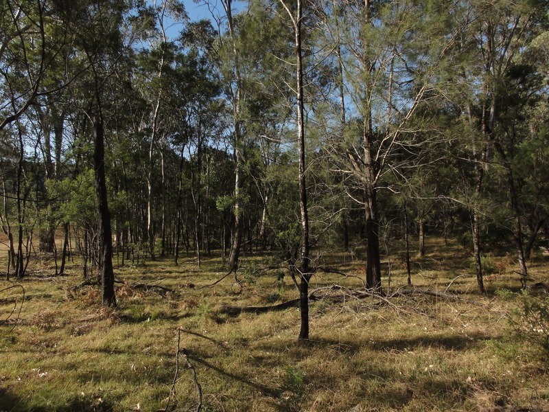 LOT 5 Putty Valley Road, Putty NSW 2330