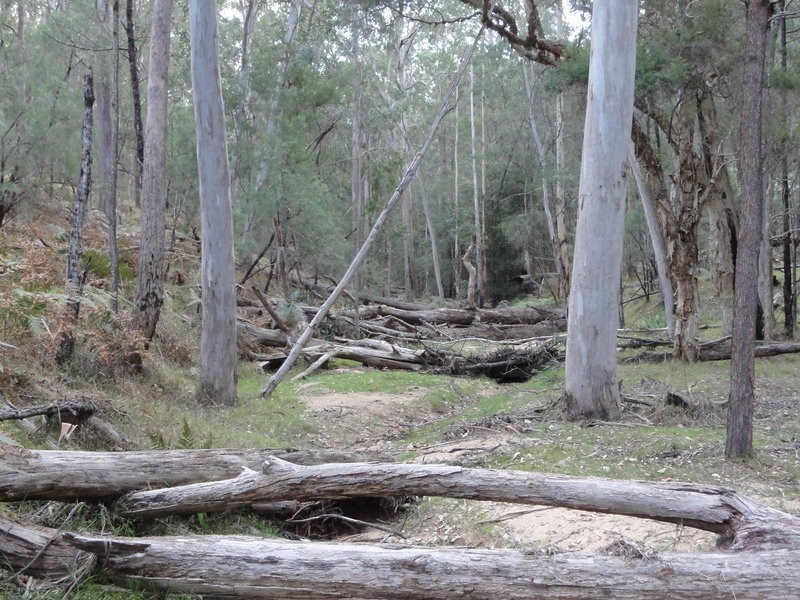 LOT 5 Putty Valley Road, Putty NSW 2330