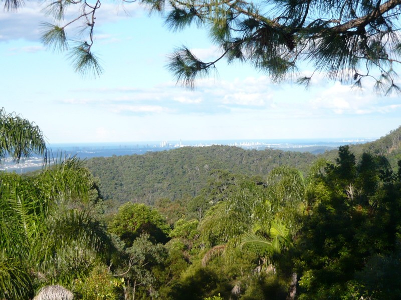 12 Erebus Court, Tamborine Mountain QLD 4272