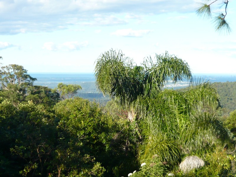 12 Erebus Court, Tamborine Mountain QLD 4272