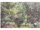 157 BOSSE ROAD, Tongala VIC 3621