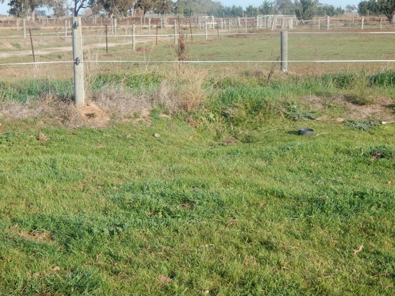 157 BOSSE ROAD, Tongala VIC 3621