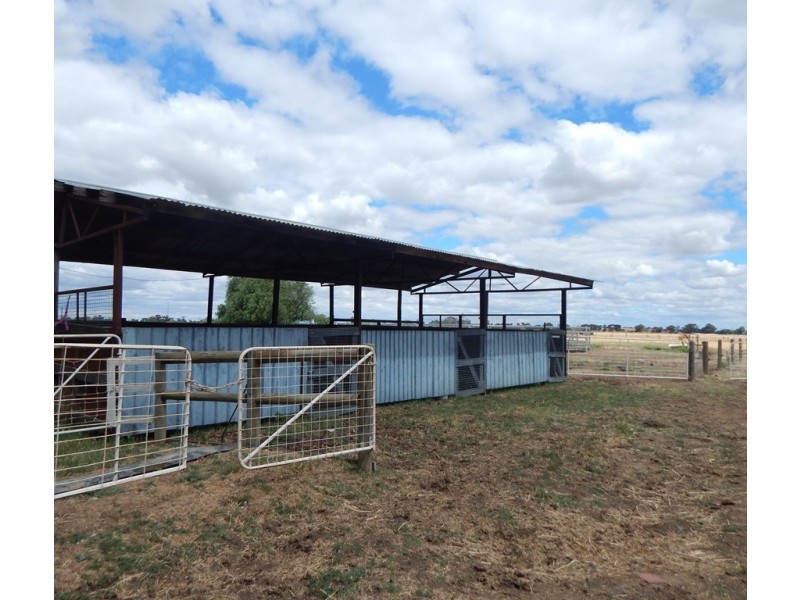 157 BOSSE ROAD, Tongala VIC 3621
