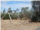 1014 McDonald Road, Echuca VIC 3564