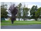 7 Alexander Street, Colac VIC 3250