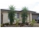 7 Satinwood, Moore Park Beach QLD 4670
