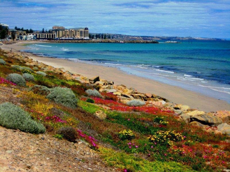 3/23 Anderson Avenue, Glenelg North  SA 5045