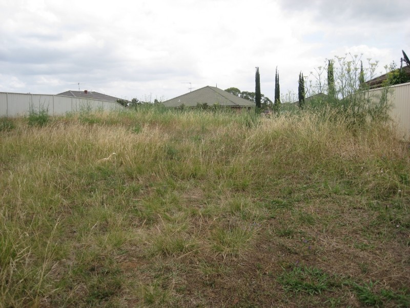 Mount Annan NSW 2567