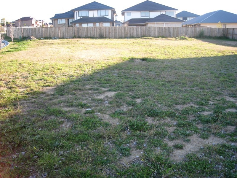 Elderslie NSW 2570