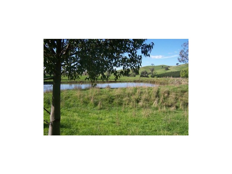 582  Carabost Road, Humula NSW 2652