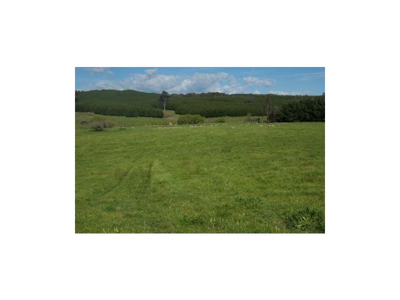 582  Carabost Road, Humula NSW 2652