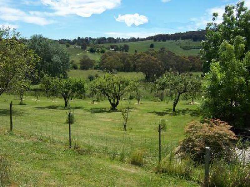 425 Batlow Road, Tumbarumba NSW 2653