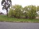 Lot 4  Murray Street, Tumbarumba NSW 2653