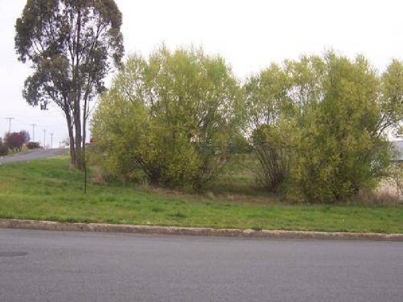 Lot 4  Murray Street, Tumbarumba NSW 2653