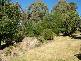 285 Elliott Way, Tumbarumba NSW 2653