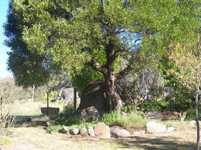 285 Elliott Way, Tumbarumba NSW 2653