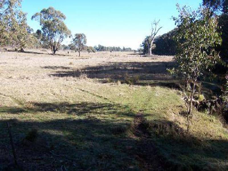 Lot 103  Albury Street, Tumbarumba NSW 2653