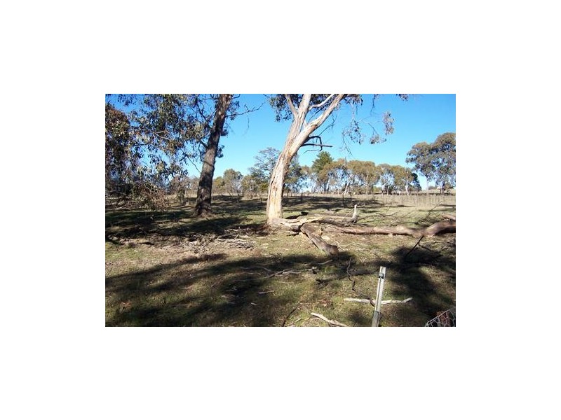 Lot 103  Albury Street, Tumbarumba NSW 2653