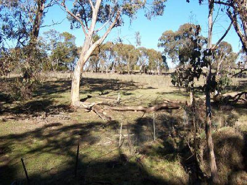 Lot 105  Albury Street, Tumbarumba NSW 2653