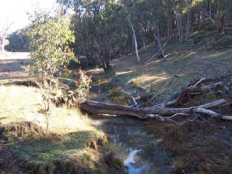 Lot 105  Albury Street, Tumbarumba NSW 2653