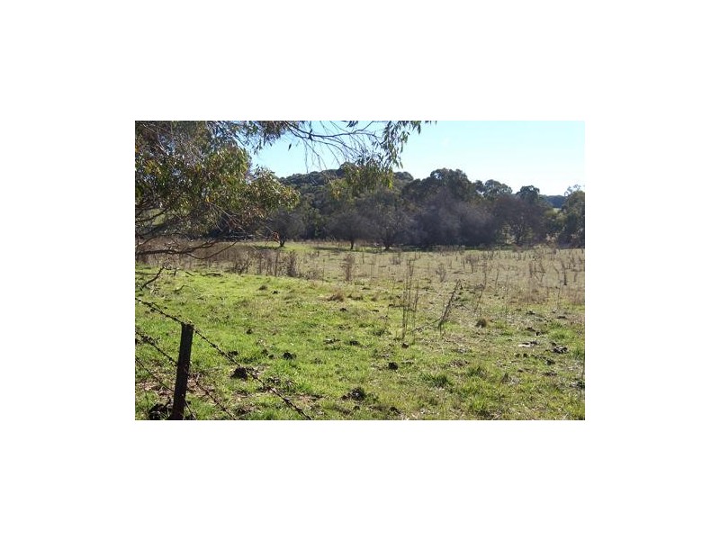 Lot 105  Albury Street, Tumbarumba NSW 2653