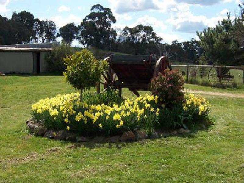 1236 Tooma Road, Tumbarumba NSW 2653