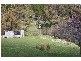 1236 Tooma Road, Tumbarumba NSW 2653