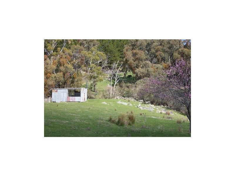 1236 Tooma Road, Tumbarumba NSW 2653