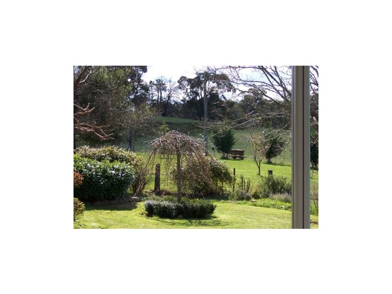 1236 Tooma Road, Tumbarumba NSW 2653
