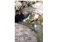 1236 Tooma Road, Tumbarumba NSW 2653