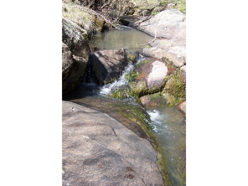 1236 Tooma Road, Tumbarumba NSW 2653