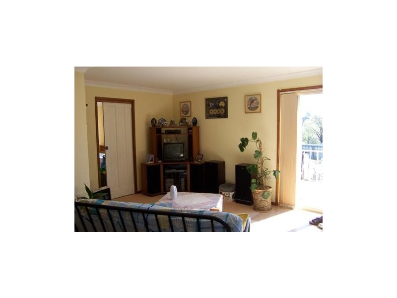 53  Murray Street, Tumbarumba NSW 2653