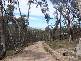 Lot 6  Elliott Way, Tumbarumba NSW 2653
