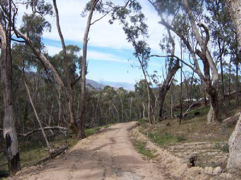 Lot 6  Elliott Way, Tumbarumba NSW 2653
