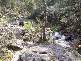 Lot 6  Elliott Way, Tumbarumba NSW 2653