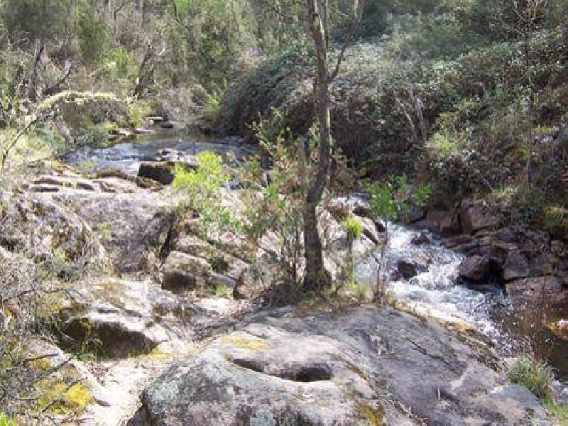 Lot 6  Elliott Way, Tumbarumba NSW 2653