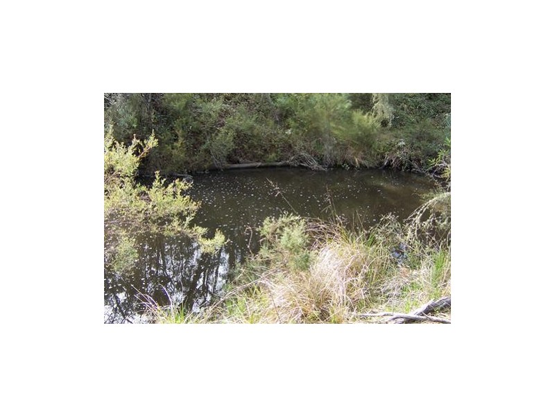 Lot 6  Elliott Way, Tumbarumba NSW 2653