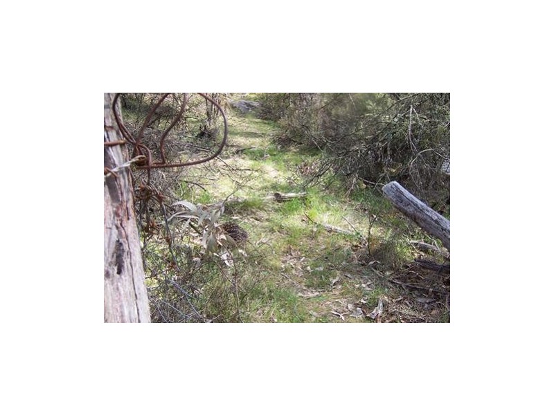 Lot 6  Elliott Way, Tumbarumba NSW 2653