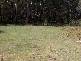 1440  Batlow Road, Tumbarumba NSW 2653