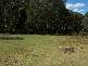 1440  Batlow Road, Tumbarumba NSW 2653