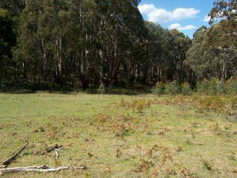 1440  Batlow Road, Tumbarumba NSW 2653