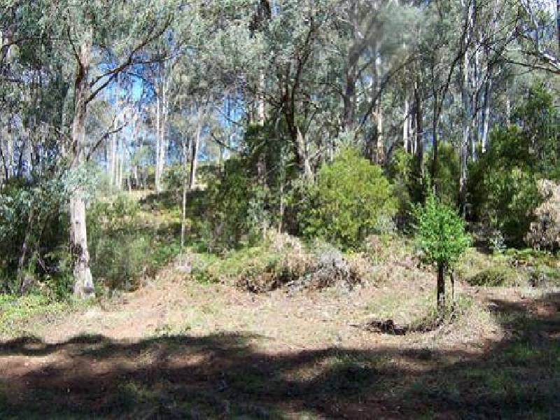1440  Batlow Road, Tumbarumba NSW 2653