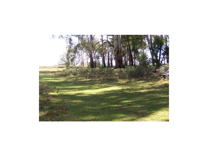 1440  Batlow Road, Tumbarumba NSW 2653