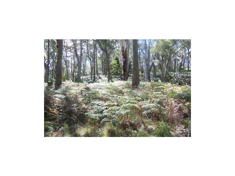 1440  Batlow Road, Tumbarumba NSW 2653